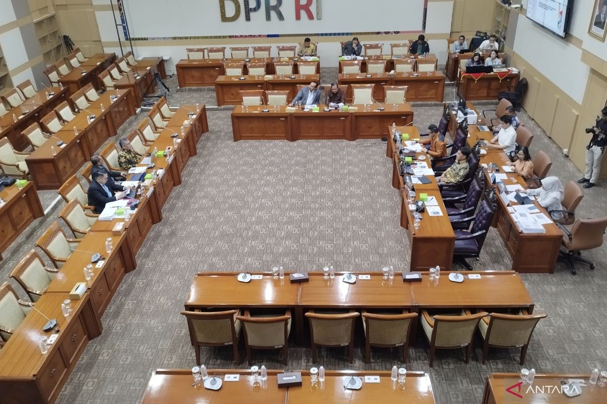 Revisi KUHAP: Hukum Pidana, HAM, dan Keadilan Seimbang