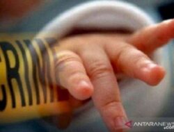 Bayi Ditemukan! Kasus Kriminal, Oplosan Beras Premium Mengejutkan