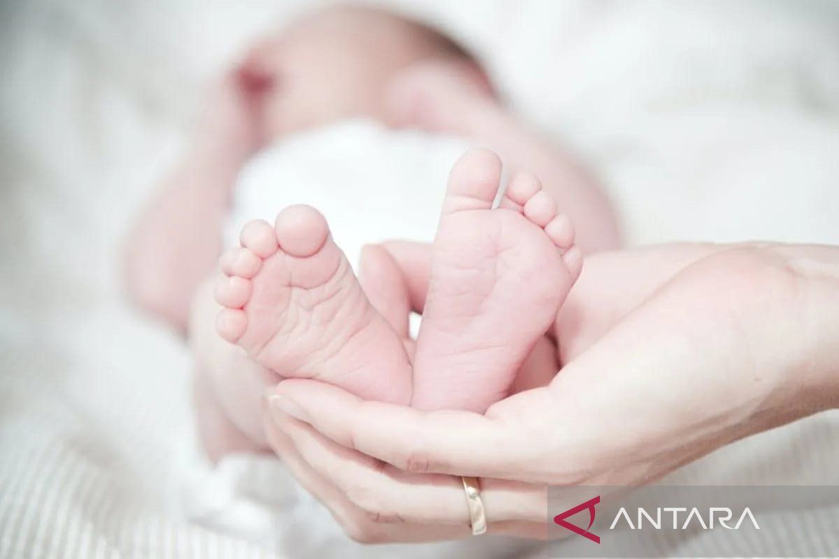 Bayi Perempuan Ditinggalkan, Ditemukan di Tempat Sampah Bekasi