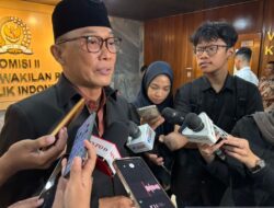 CPNS 2024 Hampir Rampung: 98% Seleksi Sudah Selesai