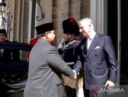 Presiden Prabowo, Raja Belgia Bahas Kerja Sama Strategis RI