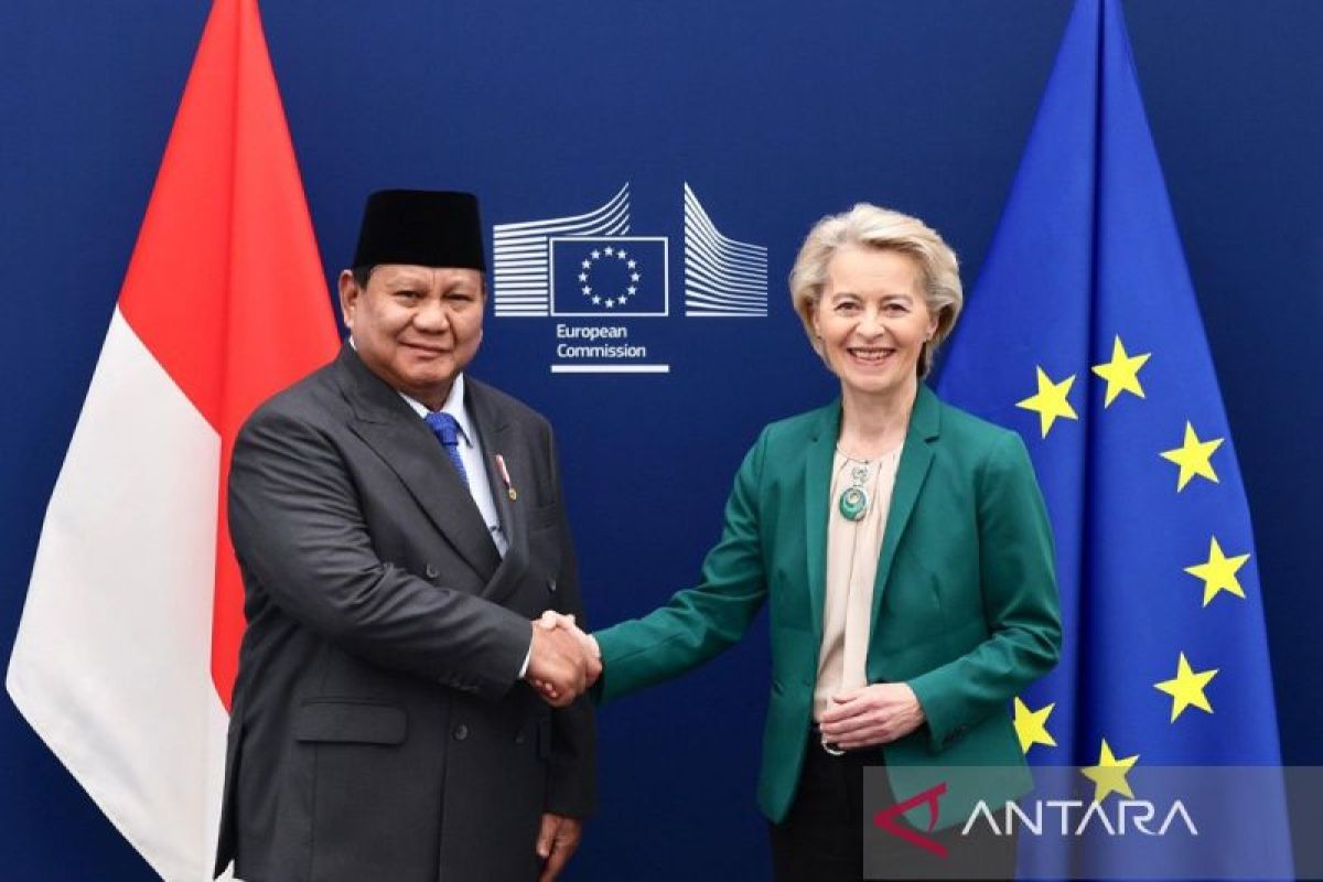 Visa Uni Eropa Terbaru: Kabar Gembira untuk WNI, Diumumkan Prabowo